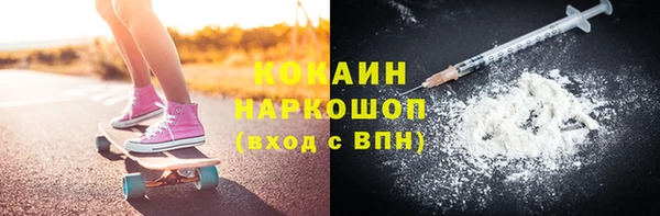 прущие грибы Беломорск