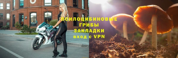 прущие грибы Беломорск