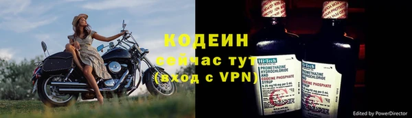 прущие грибы Беломорск