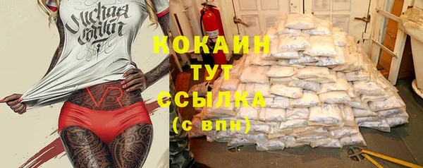 прущие грибы Беломорск