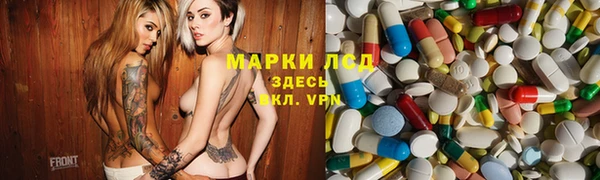 прущие грибы Беломорск