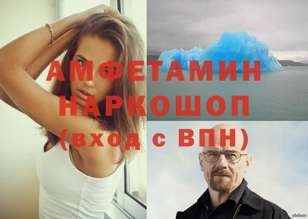 прущие грибы Беломорск