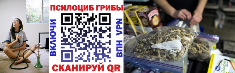 Галлюциногенные грибы мицелий  купить закладку  Шарыпово 